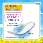 チャームナップ 吸水さらフィ 微量用 羽なし 5cc 17.5cm 72枚入
