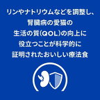 k/d   チキン 腎臓ケア 猫用 特別療法食 キャットフード ドライ ケイディー 500g