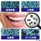 ゼローラ ペースト  薬用ハミガキ メディカルミント 90g