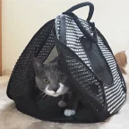 猫壱 ポータブルライトキャリー 1個