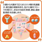 新ビオフェルミンSプラス錠 360錠