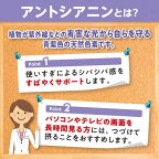 【最短当日配送】DHCブルーベリーエキス60日分120粒入【DHCサプリメント】ブルーベリー