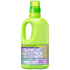 ワイドハイター EXパワー 漂白剤 本体 大サイズ 930ml