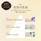 レノアオードリュクス柔軟剤マインドフルネススリープバンドルパック1セット
