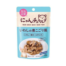 にゃんチュラル パウチ いわしの煮こごり風 40g 【にゃんチュラル】 キャットフード(猫缶・パウチ・一般食)