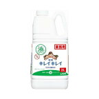 キレイキレイ 薬用 液体ハンドソープ 詰替用 業務用 2L