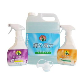 緑の魔女 ランドリー5L+泡タイププレミアムセット 詰替用ノズル付 1セット 【緑の魔女】 洗濯洗剤