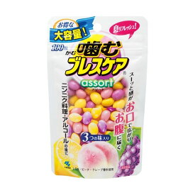 噛むブレスケア パウチ アソート 100粒 【ブレスケア】 エチケットサプリメント