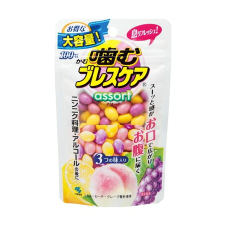 噛むブレスケア パウチ アソート 100粒 【ブレスケア】 エチケットサプリメント