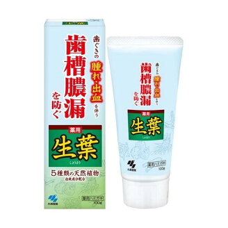 薬用歯みがき 生葉 100g 【生葉】 歯磨き(ハミガキ)