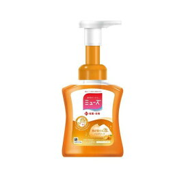 ミューズ 泡ハンドソープ フルーティフレッシュ 本体 250ml 【ミューズ】 ハンドソープ