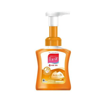 ミューズ 泡ハンドソープ フルーティフレッシュ 本体 250ml 【ミューズ】 ハンドソープ