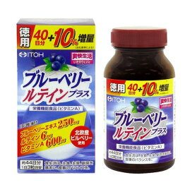 ブルーベリールテインプラス 132粒 【井藤漢方】 ブルーベリー
