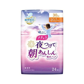 ナチュラ 夜つけて朝あんしん 吸水パッド 20.5cm 30cc 24枚入 【ナチュラ】 尿もれ用シート・パッド