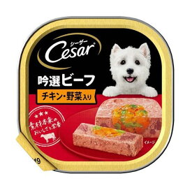 シーザー 成犬用 吟選ビーフ チキン・野菜入り ドッグフード ウエット 100g 【シーザー(ドッグフード)(Cesar)】 ドッグフード(缶・パウチ・一般食)