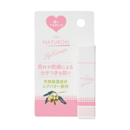 パックスナチュロン リップクリーム 4g 【パックスナチュロン(PAX NATURON)】 リップケア