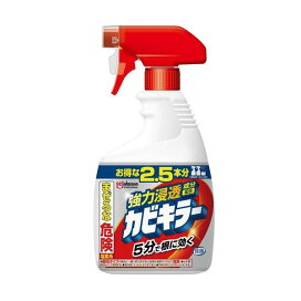 カビキラー カビ取り剤 本体 特大サイズ 大容量 1000g 【カビキラー】 掃除用洗剤