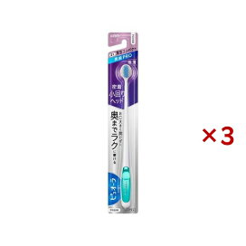 ピュオーラ ハブラシ 薄型コンパクト やわらかめ 1本入×3セット 【ピュオーラ】 歯ブラシ(ハブラシ)