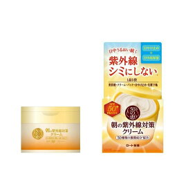 50の恵 朝の紫外線対策クリーム 90g 【50の恵】 クリーム