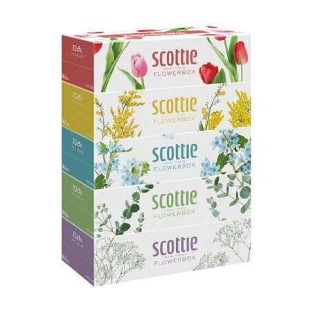 スコッティ ティッシュ フラワーボックス 500枚(250組)×5箱パック 【スコッティ(SCOTTIE)】 ティッシュ