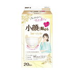 ビースタイル プリーツタイプ ふつうサイズ プレミアムホワイト 20枚入