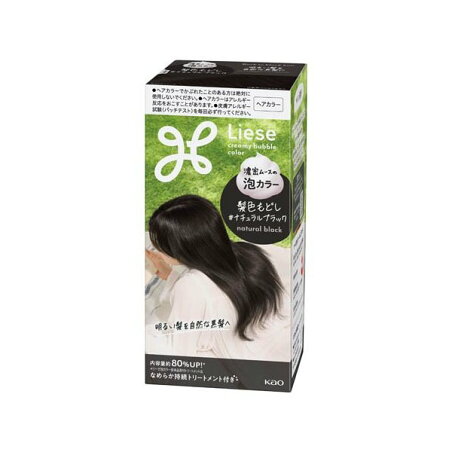 リーゼ 泡カラー 髪色もどし ナチュラルブラック 1個 【リーゼ】 カラーリング