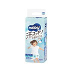 ムーニーマン 汗スッキリ 男女共用 ビッグ 12〜22kg 紙おむつ パンツ 36枚入