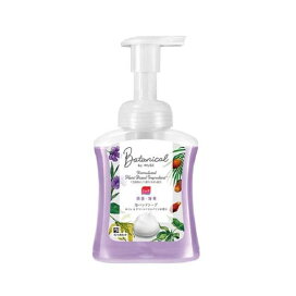薬用せっけん ミューズ 泡ハンドソープ ボタニカル 本体 ボトル 250ml 【ミューズ】 ハンドソープ