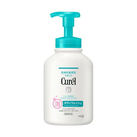 キュレル 泡ボディウォッシュ 本体 480ml 【キュレル】 ボディソープ(ボディシャンプー)