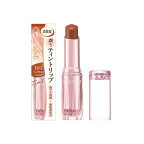 セザンヌ ラスティンググロスリップN101 フィグモカ 3.2g