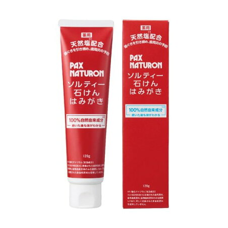 パックスナチュロン ソルティー石けんはみがき 120g 【パックスナチュロン(PAX NATURON)】 歯磨き(ハミガキ)