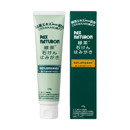 パックスナチュロン 緑茶石けんはみがき 120g 【パックスナチュロン(PAX NATURON)】 歯磨き(ハミガキ)