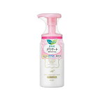 ロリエデリケート泡ウォッシュ150ml【ロリエ】