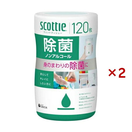 スコッティ ウェットティッシュ 除菌 ノンアルコール 本体 120枚×2セット 【スコッティ(SCOTTIE)】 ティッシュ