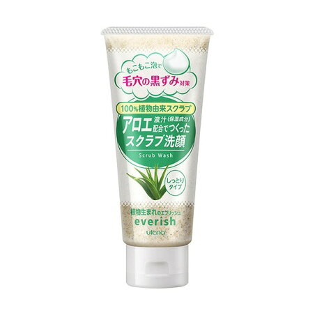 エブリッシュ 植物生まれのアロエスクラブ洗顔 135g 【エブリッシュ(everish)】 洗顔