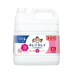 キレイキレイ薬用泡ハンドソープシトラスフルーティの香り詰替用業務用4L【キレイキレイ】ハンドソープ
