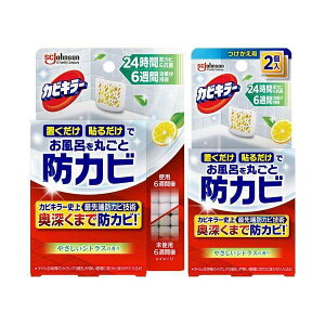 JrL[ CɒuhJrWF ₳t[̍ / ₳VgX̍ { +tւ 1Zbg yJrL[z hJrEJrƂ