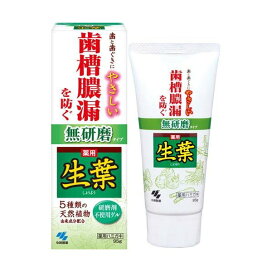 生葉 無研磨タイプ 95g 【生葉】 歯磨き(ハミガキ)