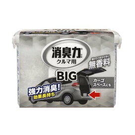 消臭力 クルマ用 置き型消臭剤 BIG 無香料 900g 【消臭力】 消臭・芳香剤(車用)