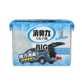 消臭力 クルマ用 置き型消臭剤 BIG ウォータリースカッシュ 900g 【消臭力】 消臭・芳香剤(車用)