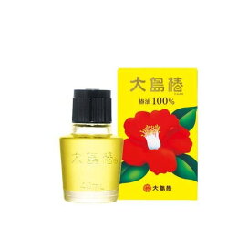 大島椿 40ml 【大島椿シリーズ】 スタイリング