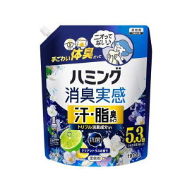 ハミング消臭実感 汗・脂臭タイプ クリアシトラスの香り つめかえ用 1910g 【ハミング】 柔軟剤