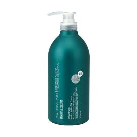 サロンリンク 薬用 アミノ トリートメントインシャンプー 1000ml スカルプケア