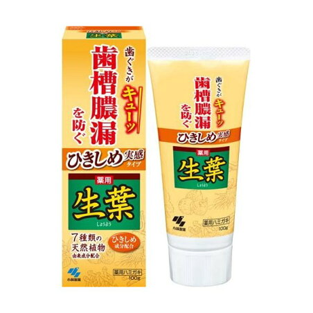 ひきしめ生葉 ひきしめ実感タイプ 100g 【生葉】 歯磨き(ハミガキ)