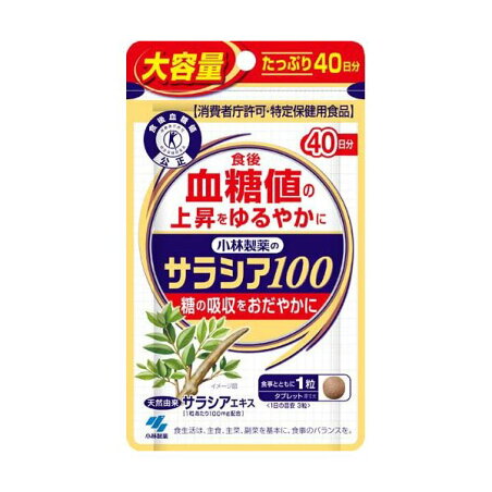 サラシア100 約40日分 食後の血糖値の上昇をゆるやかに 120粒入り 【小林製薬の特定保健用食品】 東洋ハーブ