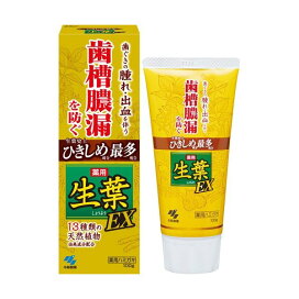 薬用生葉EX 100g 【生葉】 歯磨き(ハミガキ)