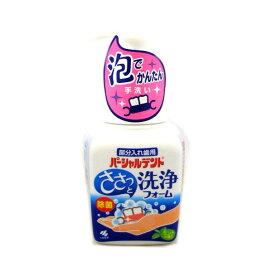 小林製薬 パーシャルデント 洗浄フォーム ミントの香り 250ml 【パーシャルデント】 入れ歯
