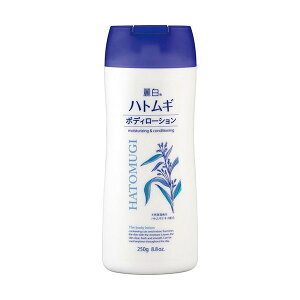 픒 ngM{fB[V 250g y픒z {fB[VEWF