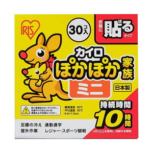 ACXI[} ۂۂƑ \~j PKN-30HM 30R yACXI[}z JC