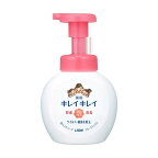 キレイキレイ薬用泡ハンドソープシトラスフルーティの香り本体250ml
